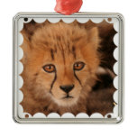 Baby Cheetah Ornament
