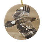 Flying Eagle Ornament