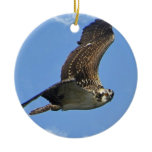 Flying Osprey Ornament