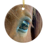 Horse Vision Ornament