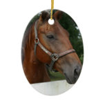 Quarter Horse Photo Ornament