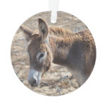 Adorable Donkey Ornament