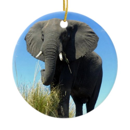 African Elephant Ornament