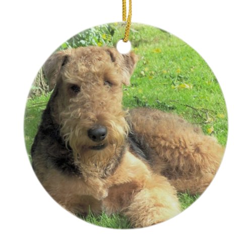 Airedale Terrier Dog Ornament