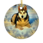 Alaskan Malamute Puppies Ornament