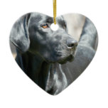 Alert Black Labrador Rertriever Dog Ornament