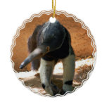Anteater Ornament