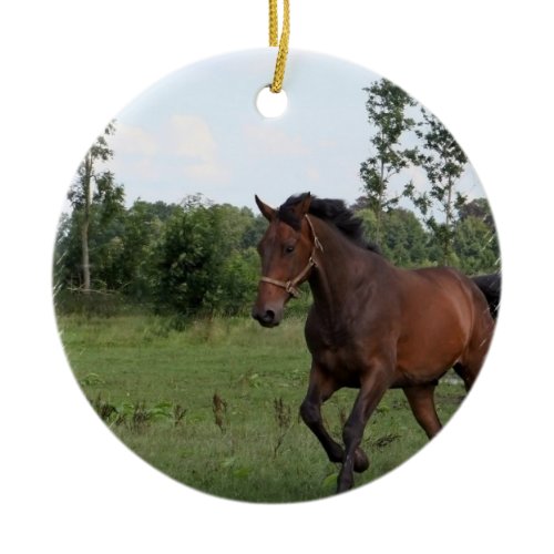 Bay Horse Design Ornament