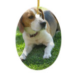 Beagle Hound Ornament