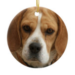 Beagle Ornament