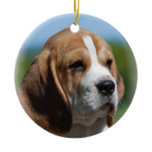 Beagle Puppy Ornament