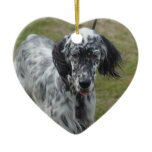 Beautiful English Setter Dog Ceramic Ornament