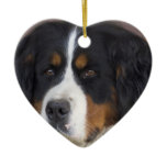 Bernese Mountain Dog Ornament