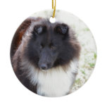 Black and White Sheltie Ceramic Ornament