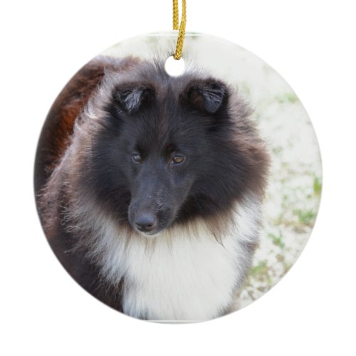 Black and White Sheltie Ceramic Ornament