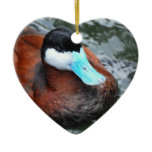 Blue Billed Duck Ornaments