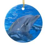 Bottlenose Dolphin Ornament