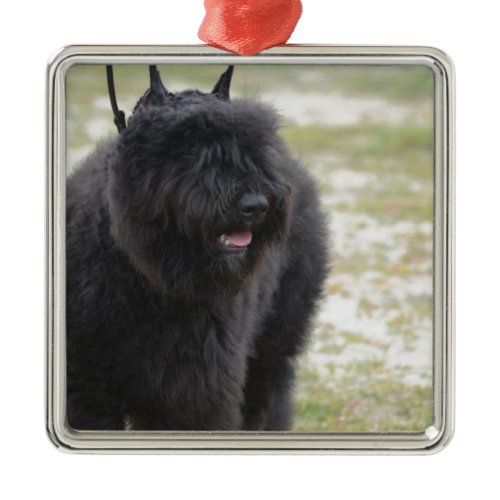 Bouviers des Flanders Metal Ornament