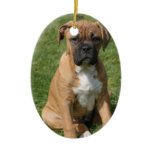 Boxer Puppy Ornament