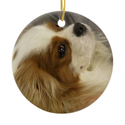 Cavalier Cocker Spaniel Ornament