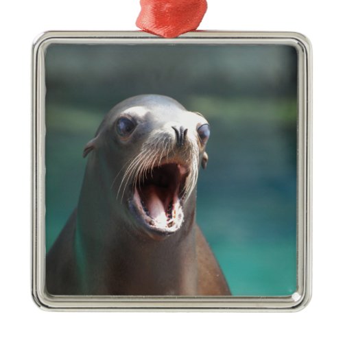 Checkout My Tonsils! Metal Ornament
