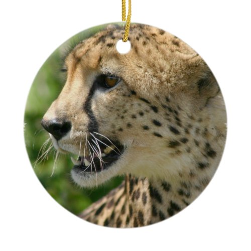 Cheetah Cat Ornament