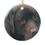 Chocolate Lab Dog Ornaments