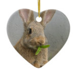 Cottontail Rabbit Ornament