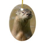 Curious Otters Ornament