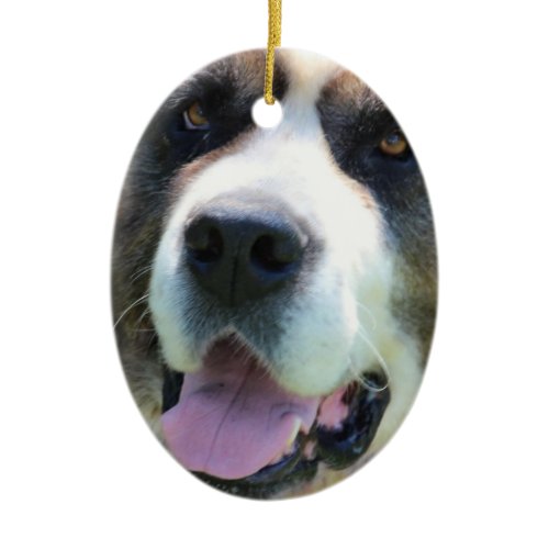 Customize Product Ceramic Ornament