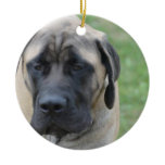 Cute English Mastiff Ceramic Ornament