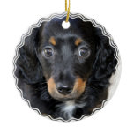 Daschund Puppy Dog Ornament