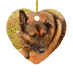 German Shepherd with One Floppy Ear Ceramic Ornament