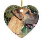 Great Dane Photo Ornaments