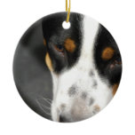 greater-swiss-mountain-dog-1.jpg ceramic ornament