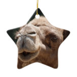 Hump Day Camel Ceramic Ornament