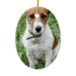 Jack Russell Ornament