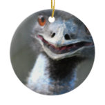 Large Emu Ornament