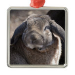 Lop Eared Rabbit Metal Ornament