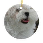 Maltese Ornament