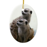 Meerkat Pair Ornament