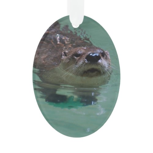North American River Otter Ornament
