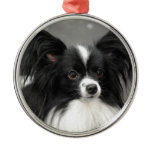 Papillon Dog  Ornament