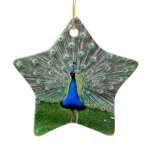 Peacock Plume Ornament
