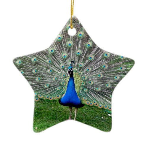 Peacock Plume Ornament