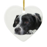 Pointer Dog Ornament