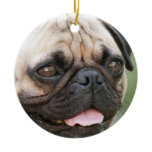 Pug Dog Ornament