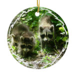 Raccoon Habitat Ornament