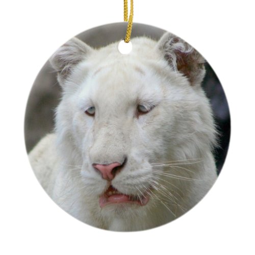 Rare White Tiger Ornament