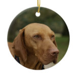 Rhodesian Ridgeback Dog Ornament